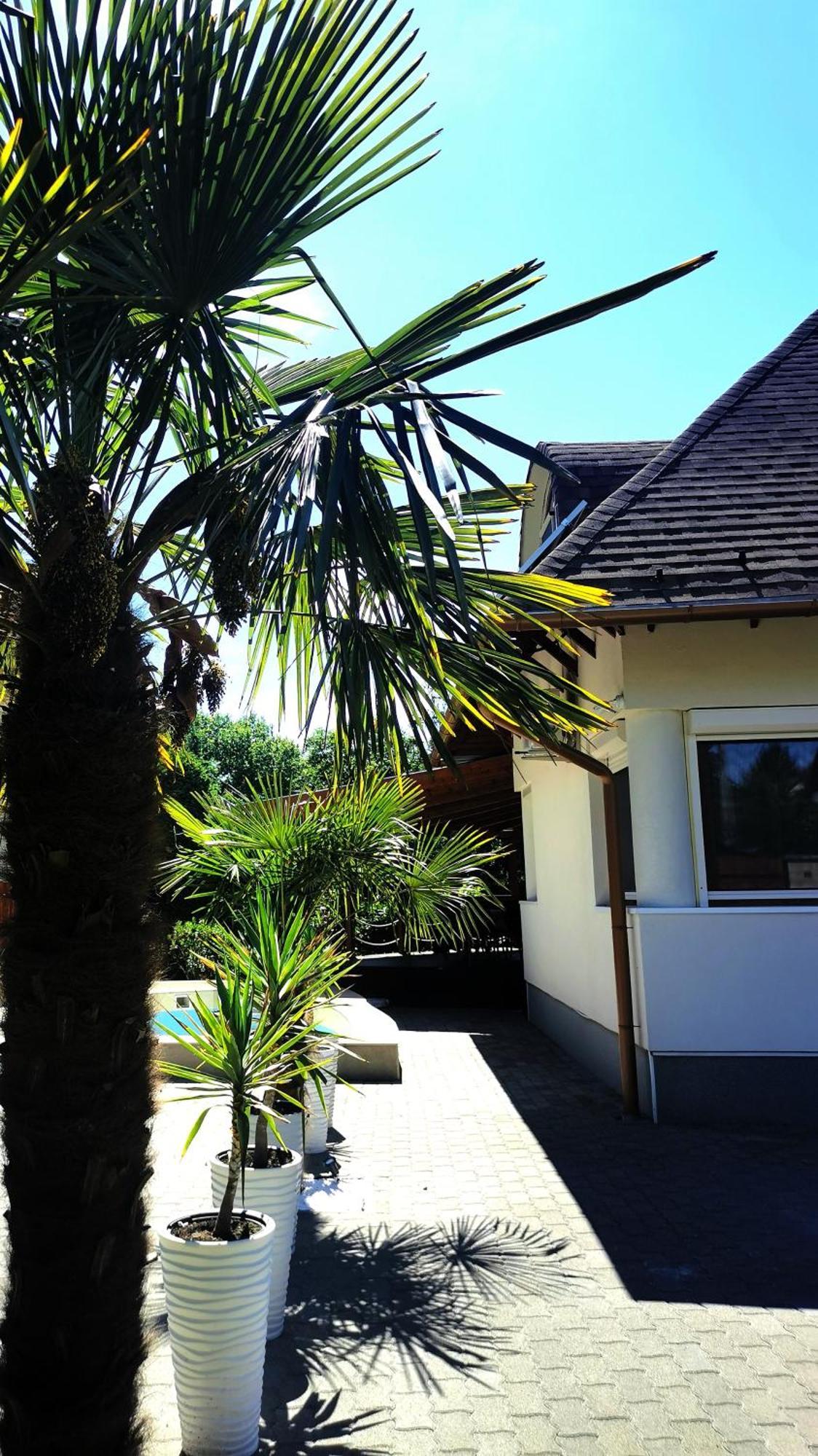 House4U Vila Balatonszárszó Exterior foto